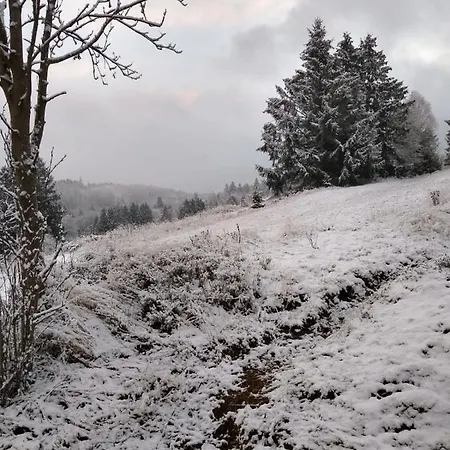 Lejlighed Potthoff 2 -hund Willkommen- *