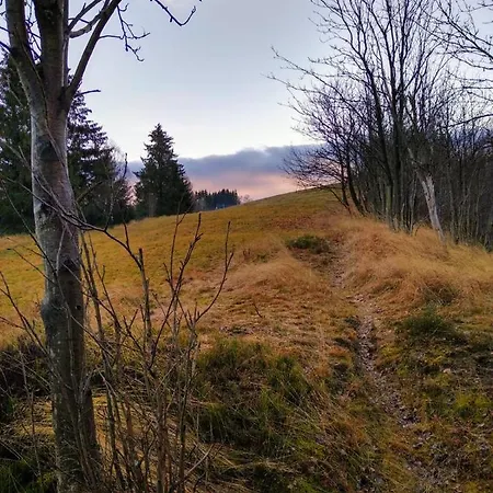 Lejlighed Potthoff 2 -hund Willkommen- *